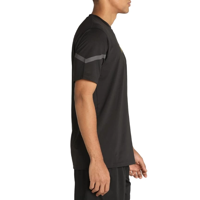 Puma BVB LogoT