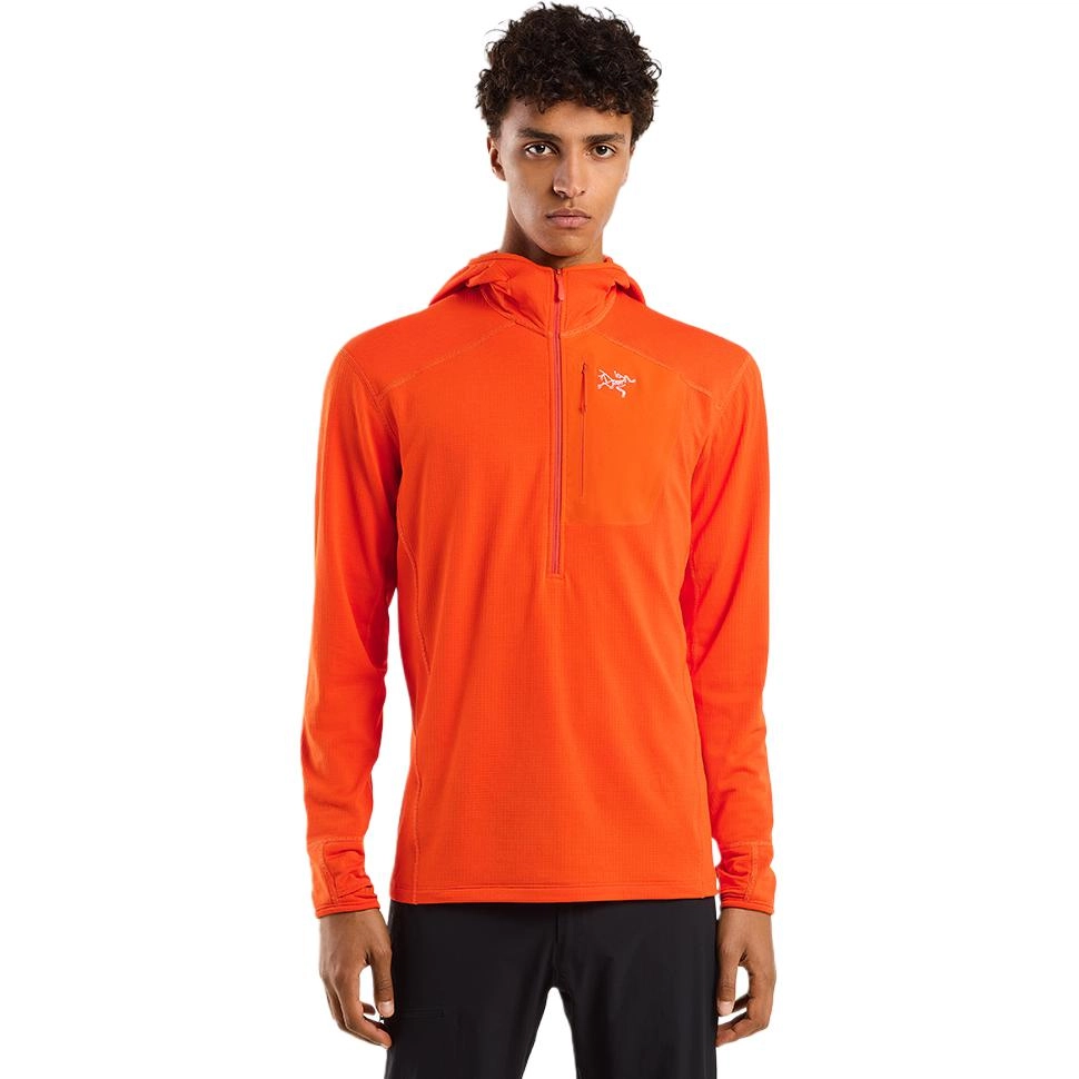 Arcteryx Delta 12 Zip Hoody Logo