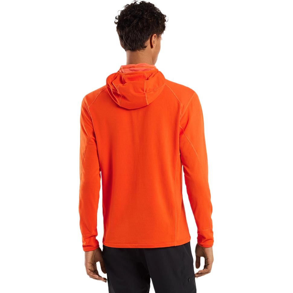 Arcteryx Delta 12 Zip Hoody Logo