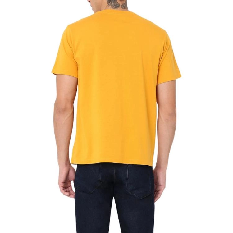 levis T