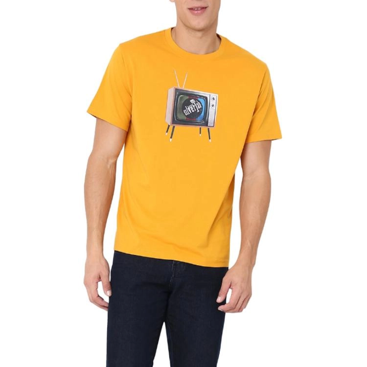 levis T