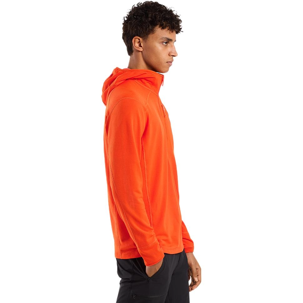 Arcteryx Delta 12 Zip Hoody Logo