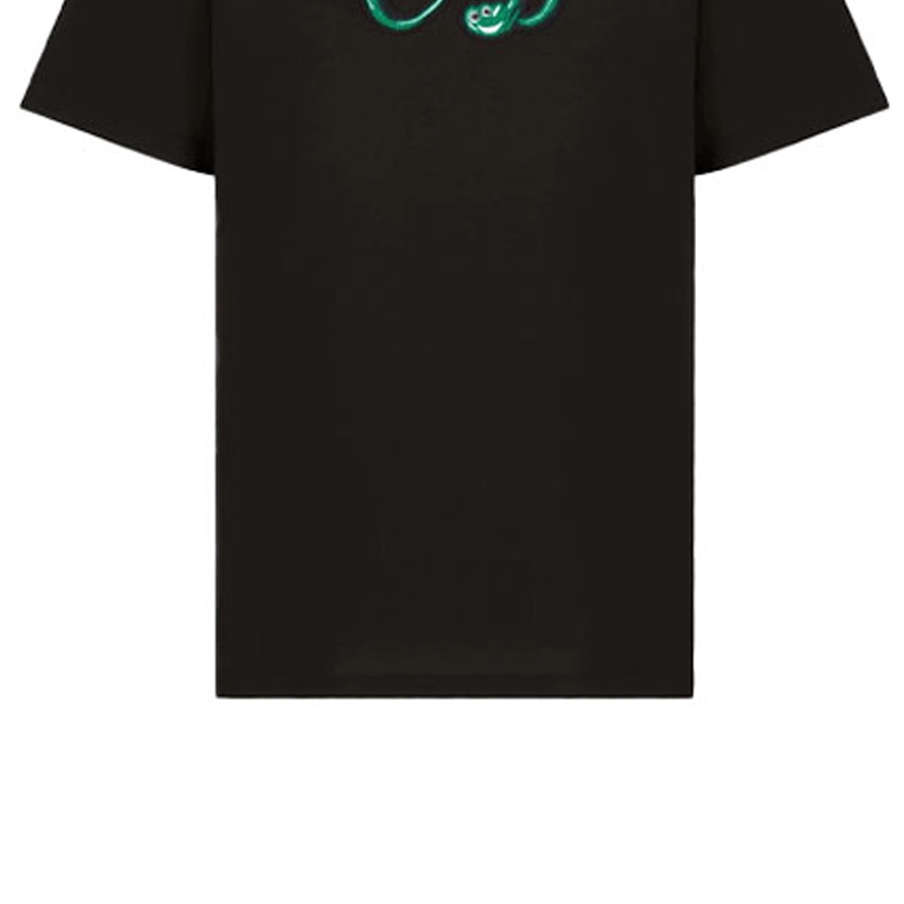 DIOR DIOR T