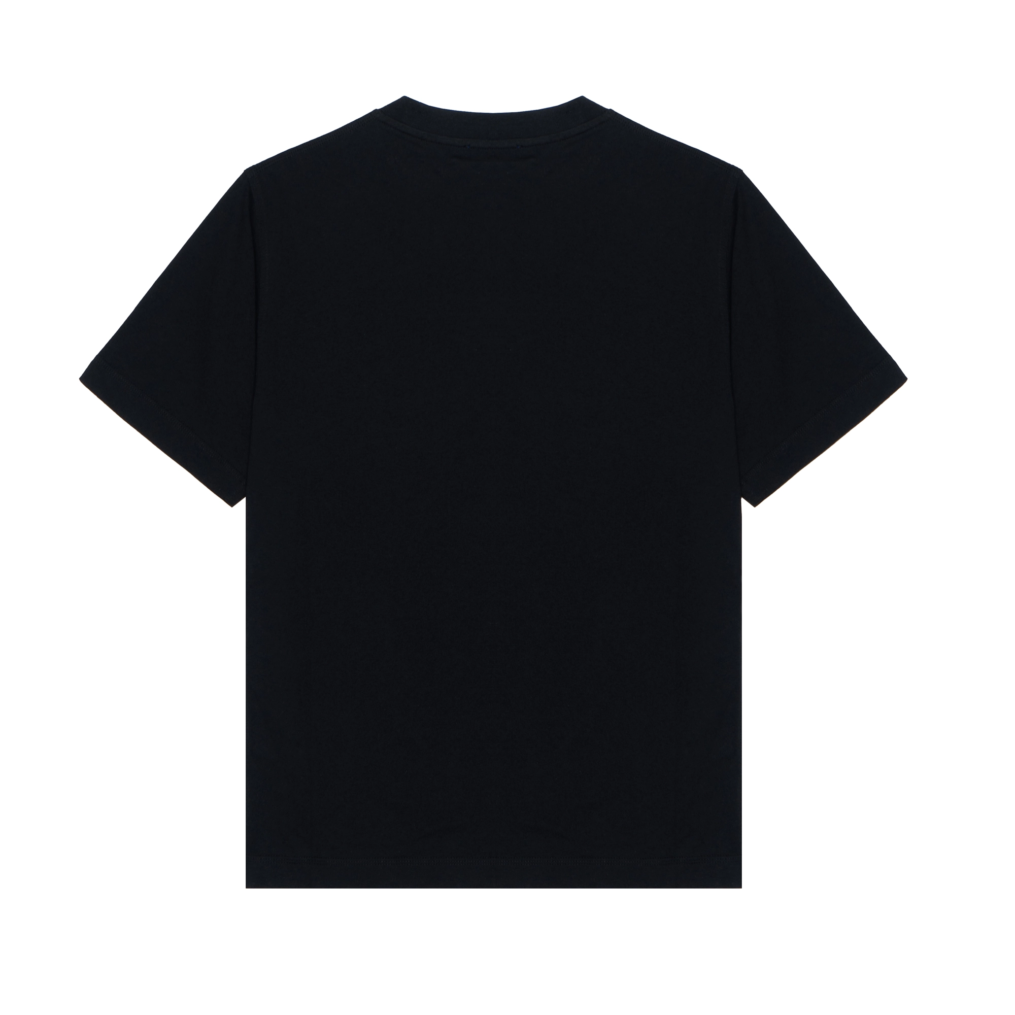Burberry T