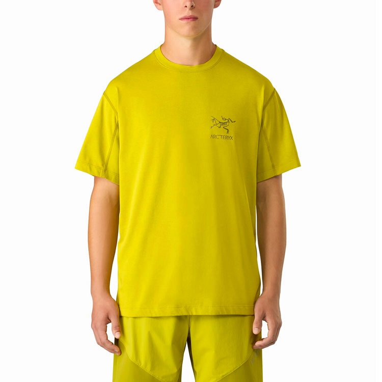 Arcteryx SYSTEM_A Copal Bird T-shirt Men's LogoT