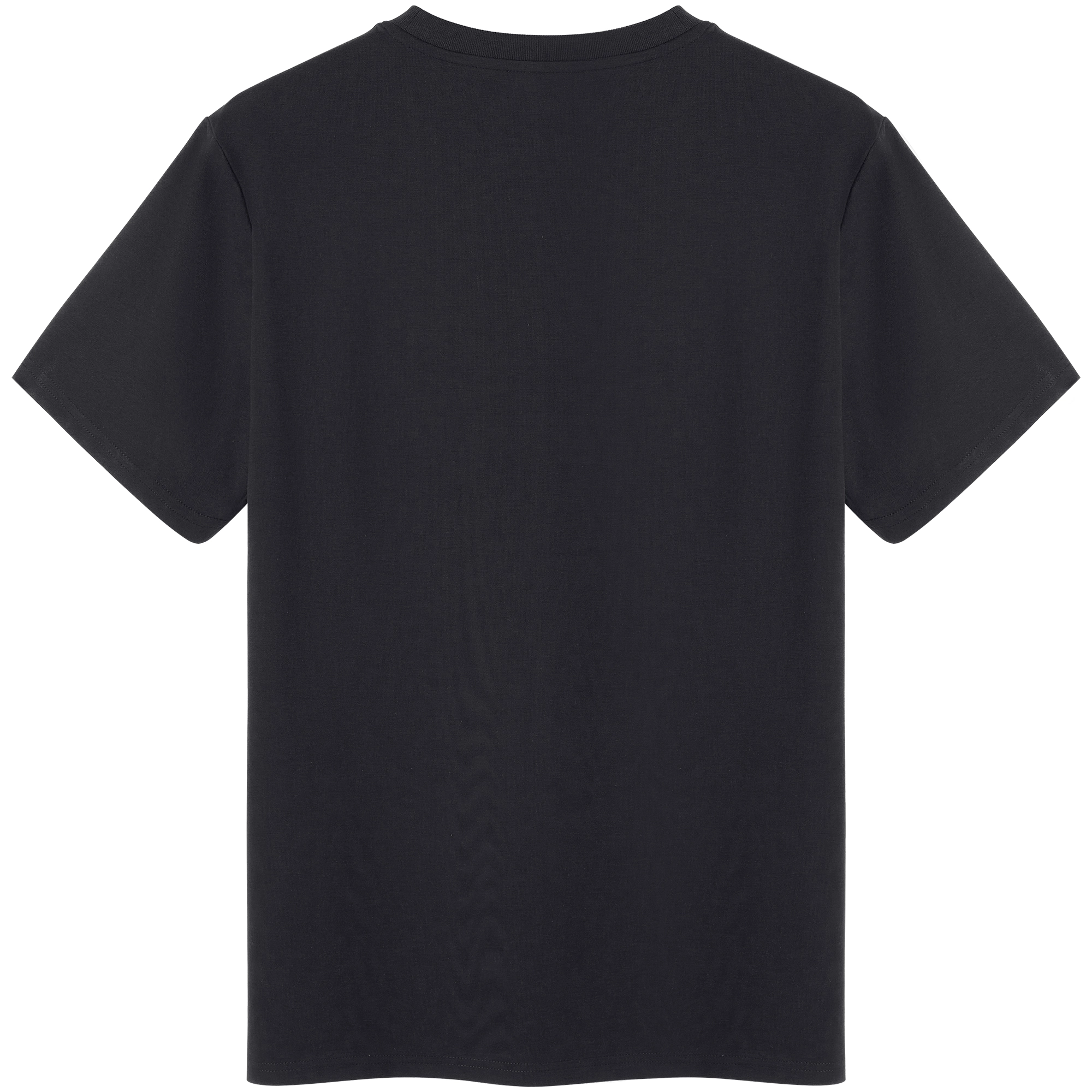 CAMEL T