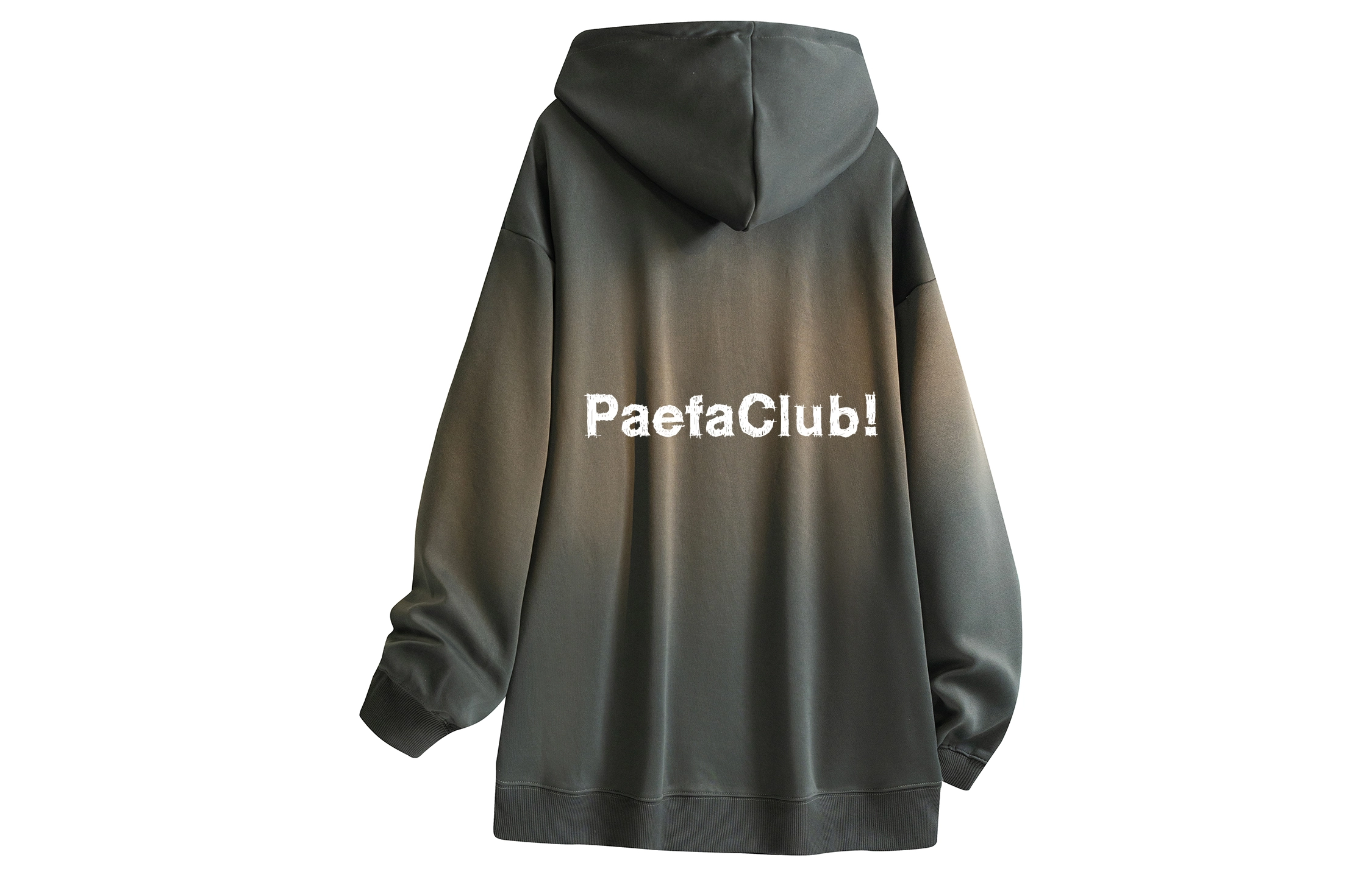 PAEFA Logo