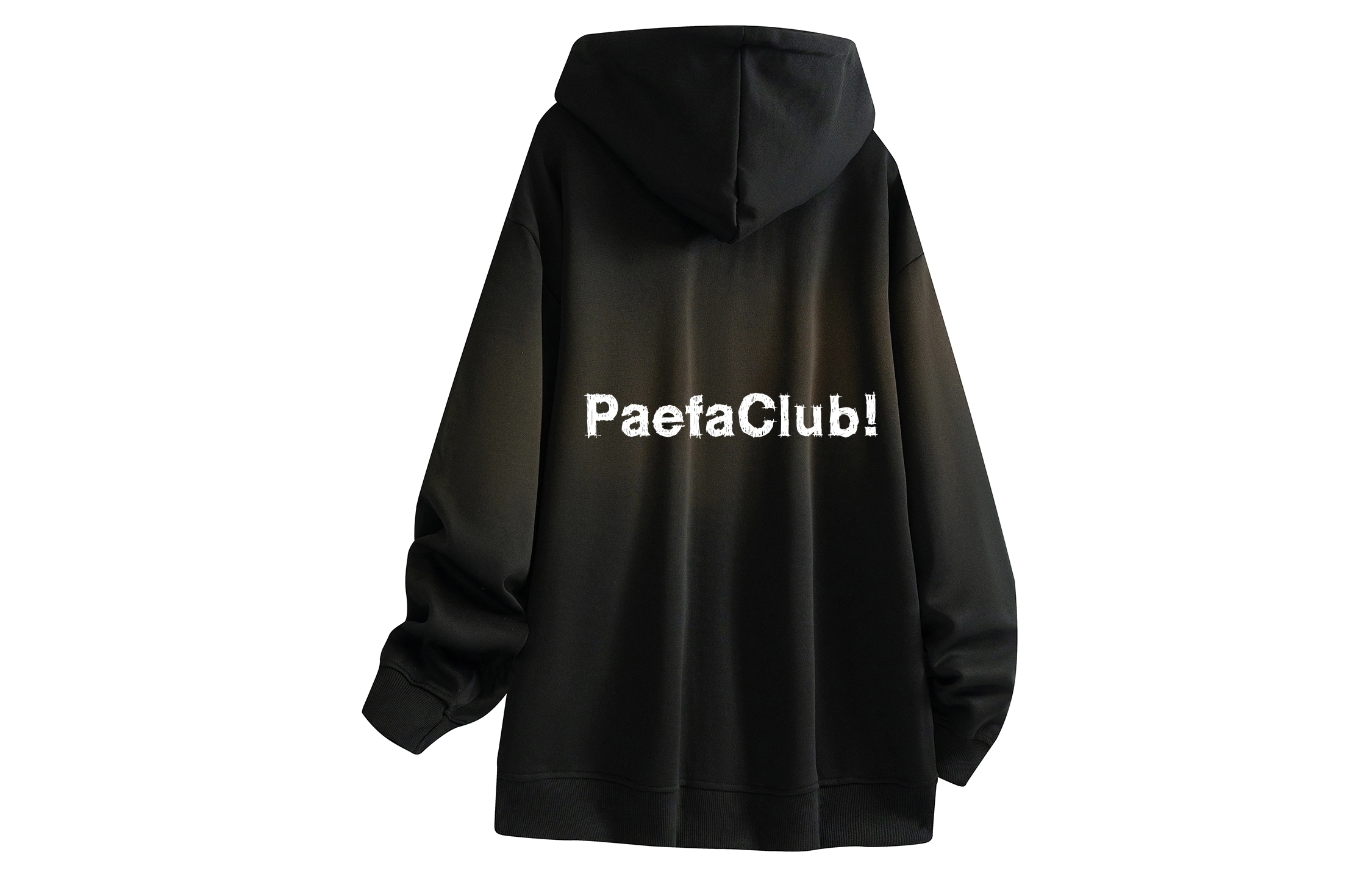 PAEFA Logo