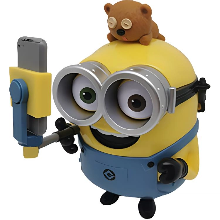 IP
