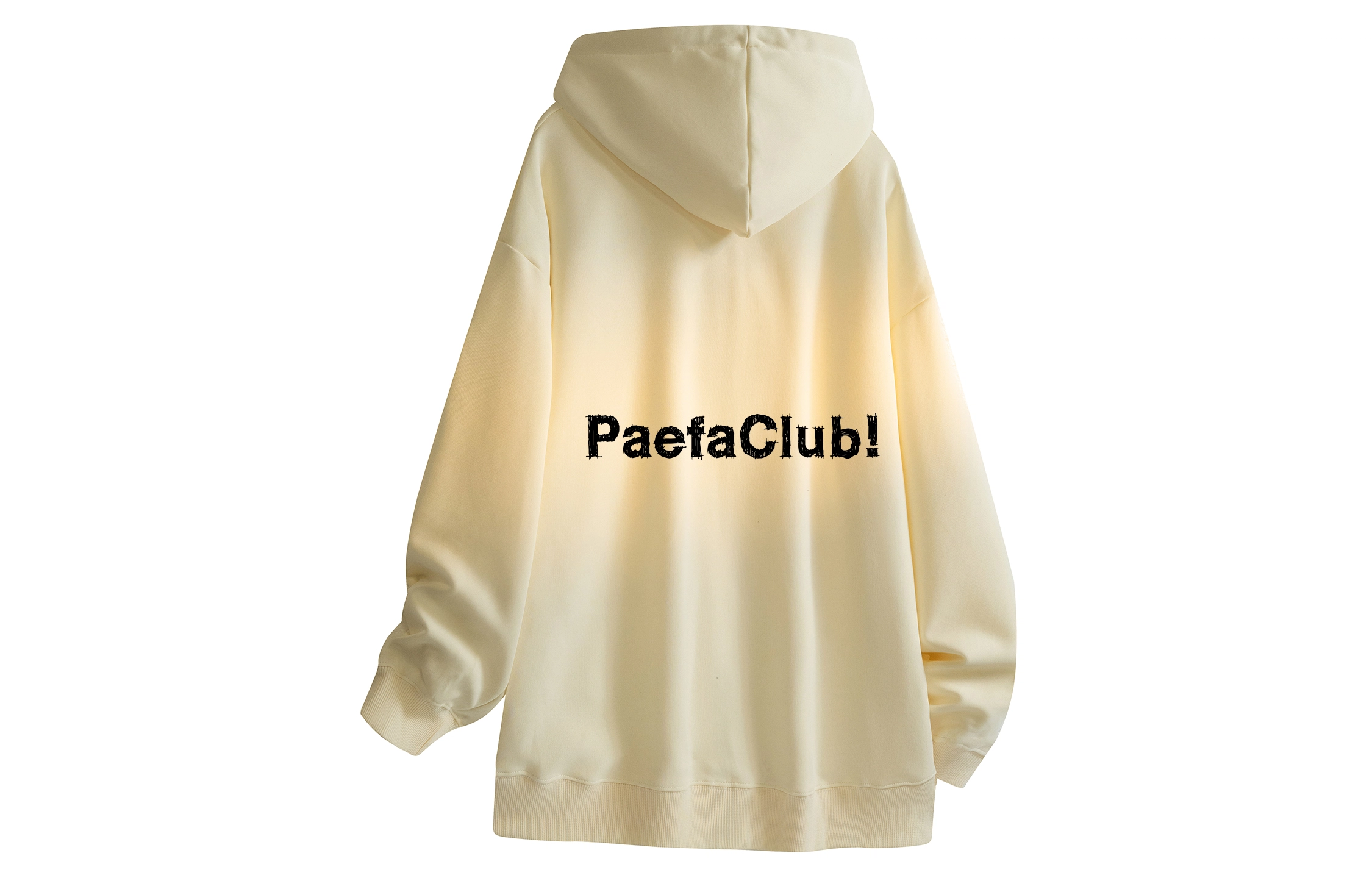 PAEFA Logo