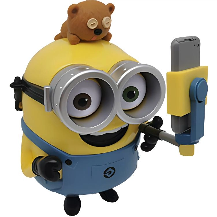 IP
