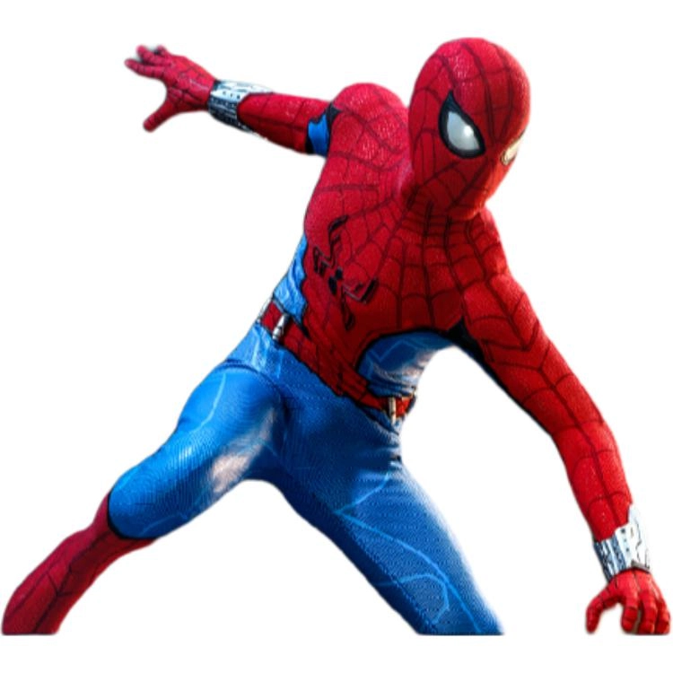 Hot Toys 28.5cm
