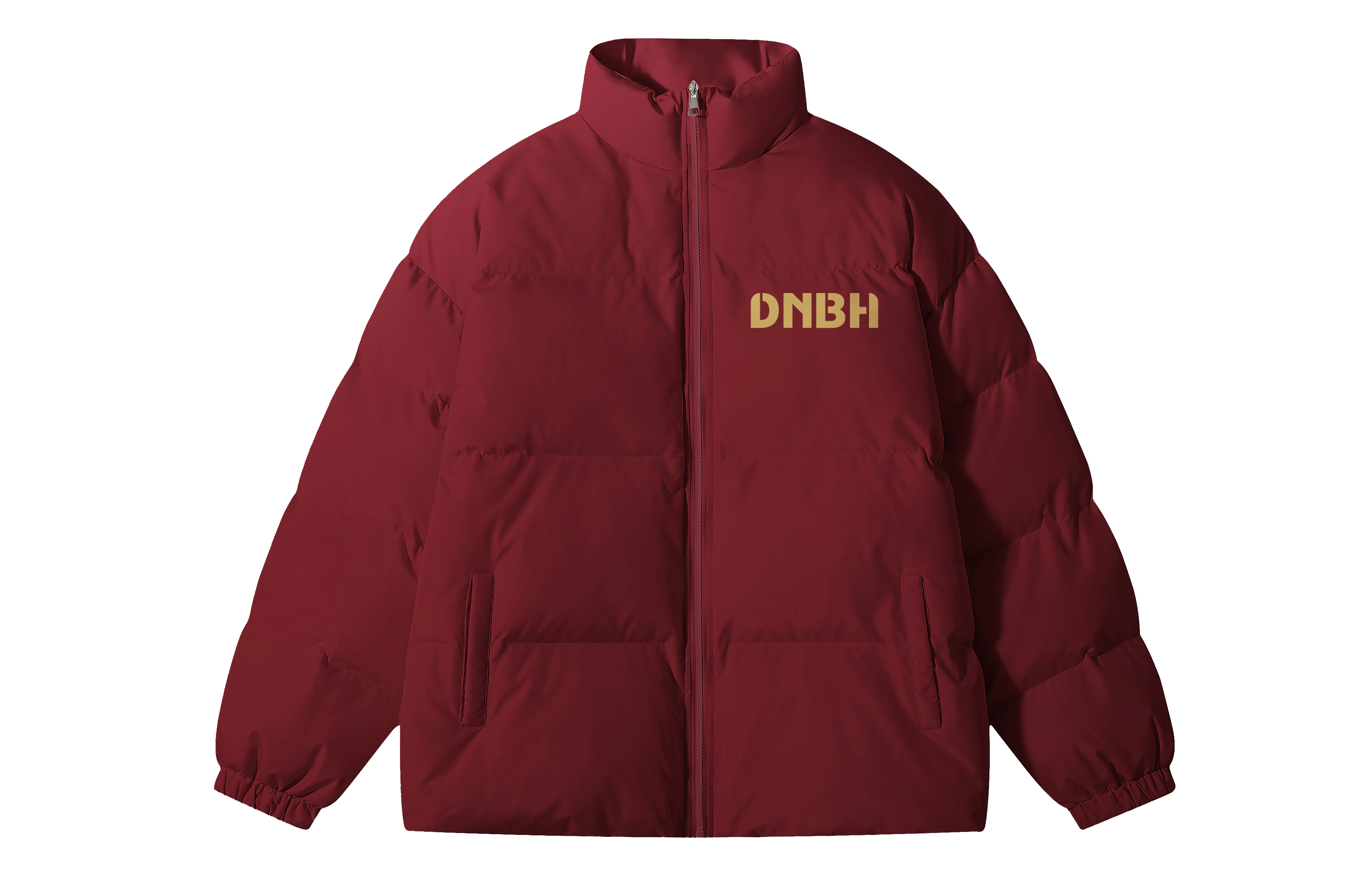DNBH Logo