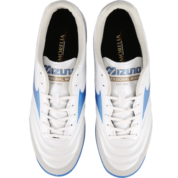 Mizuno