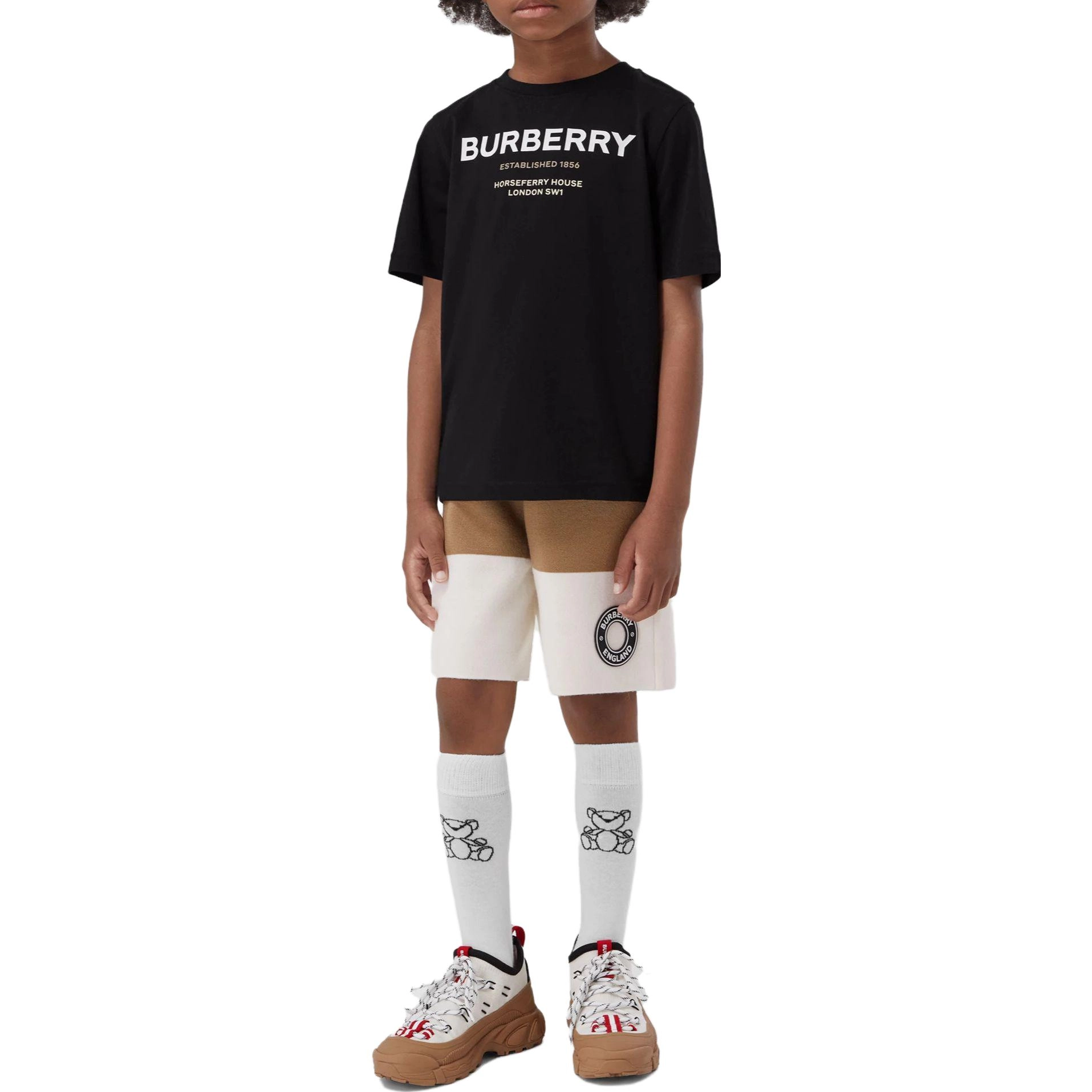 Burberry LogoT