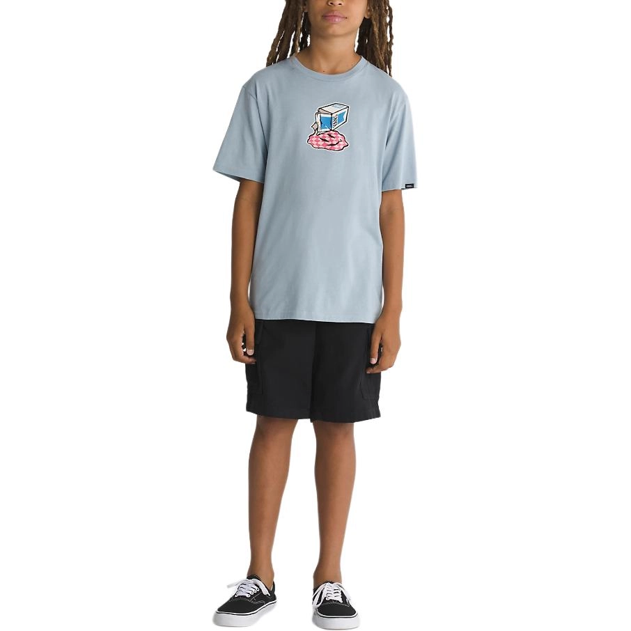 Vans T