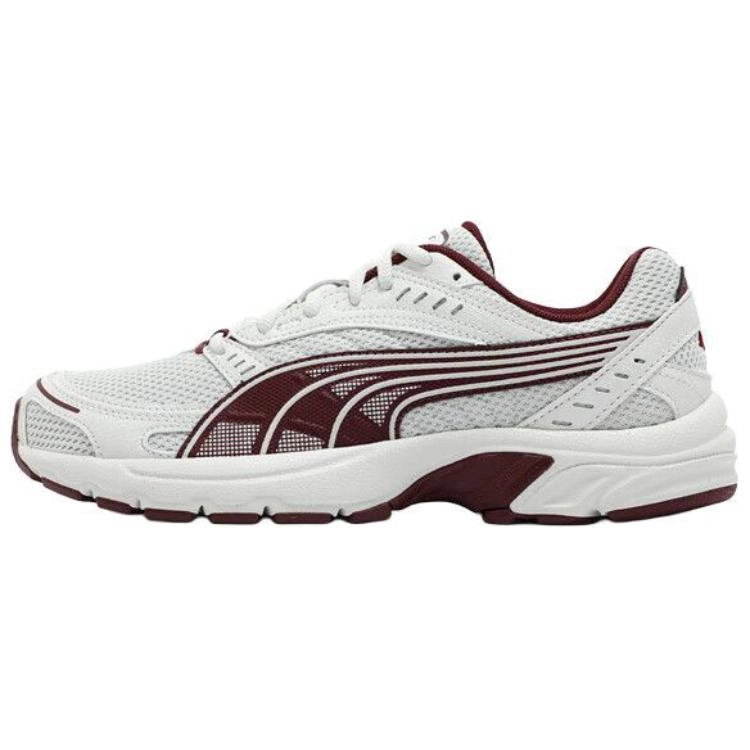 PUMA Axis