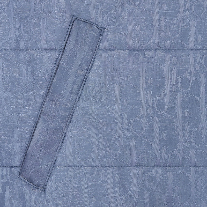 DIOR SS24 Logo