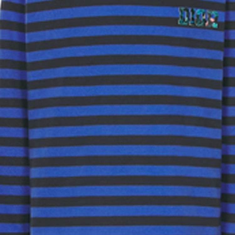 DIOR SS24 T
