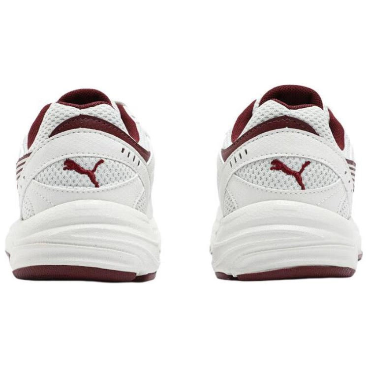 PUMA Axis