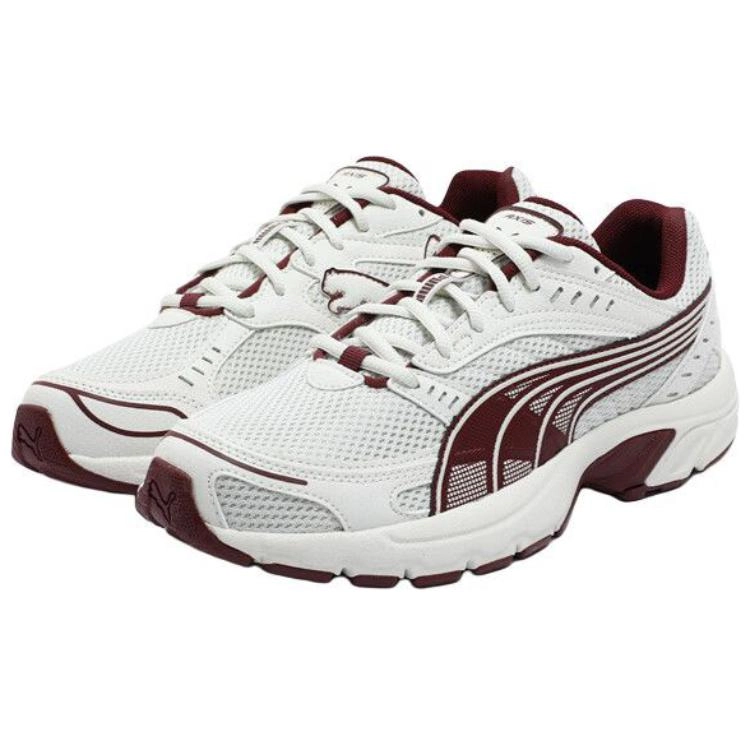 PUMA Axis