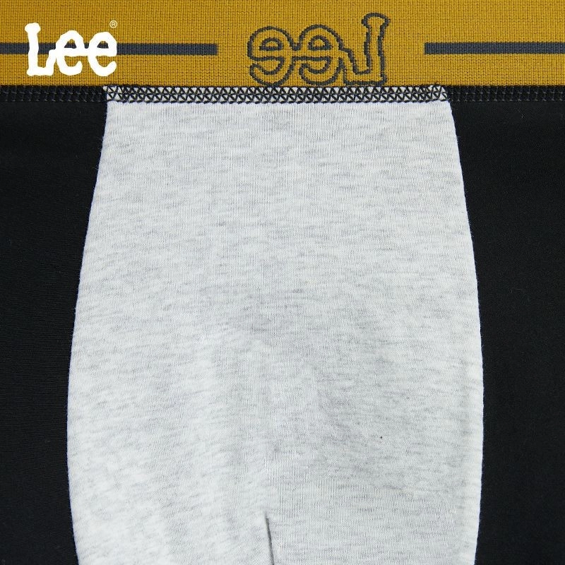 Lee logo 3
