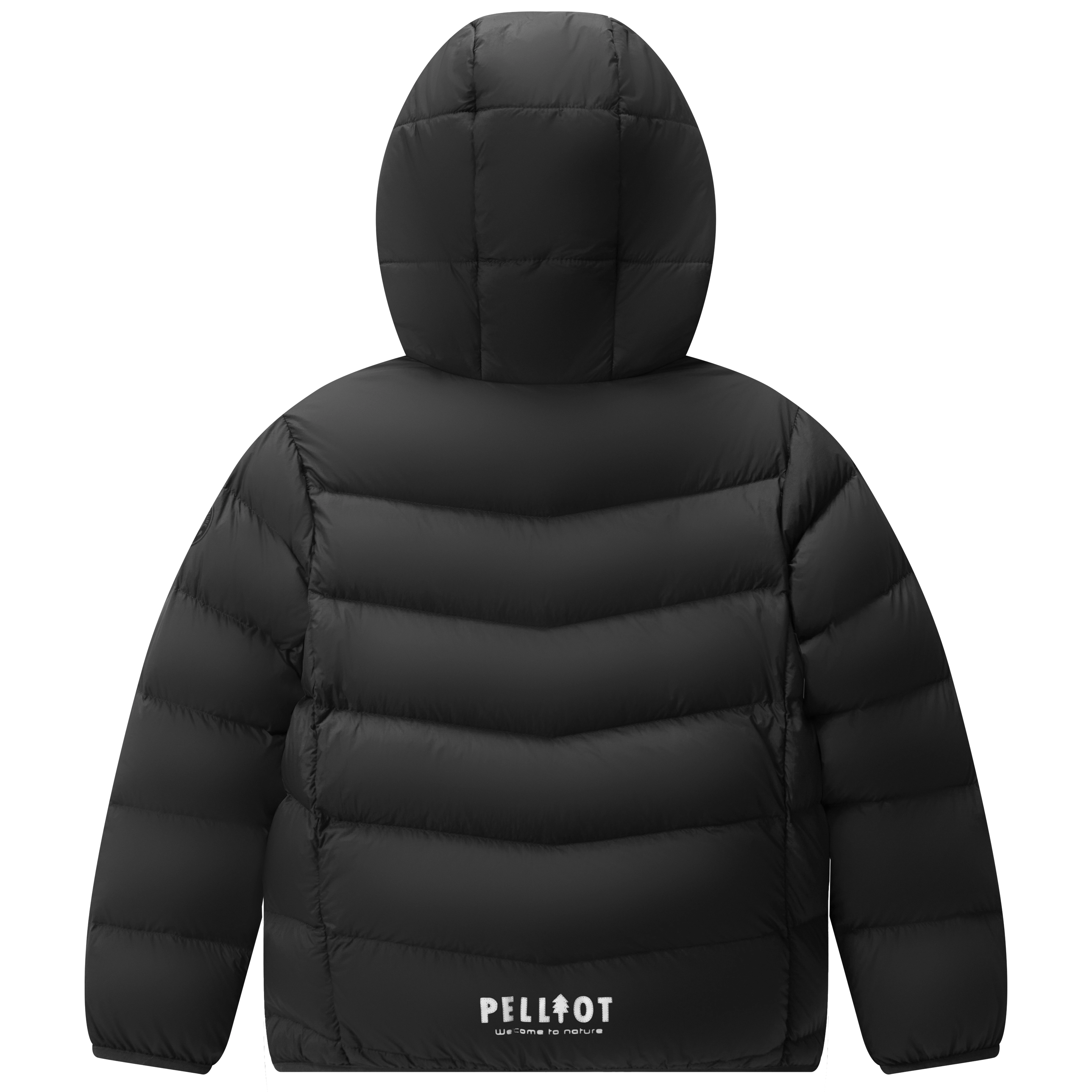 PELLIOT