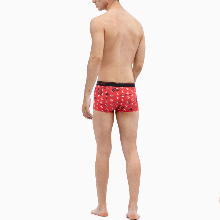 CKCalvin Klein Logo 1
