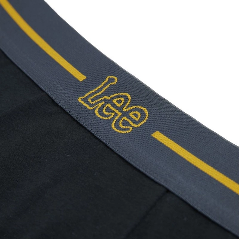 Lee logo 3