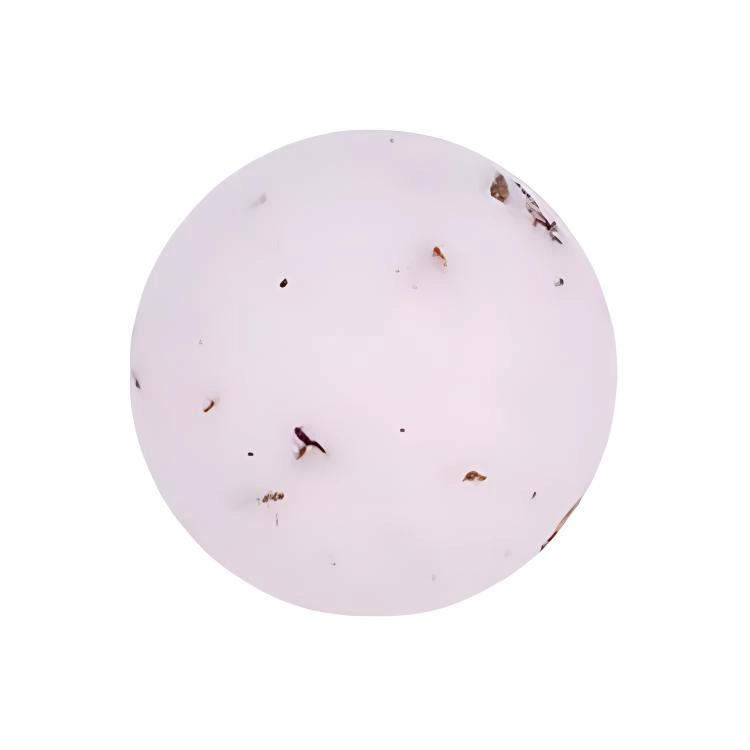 stenders 100g