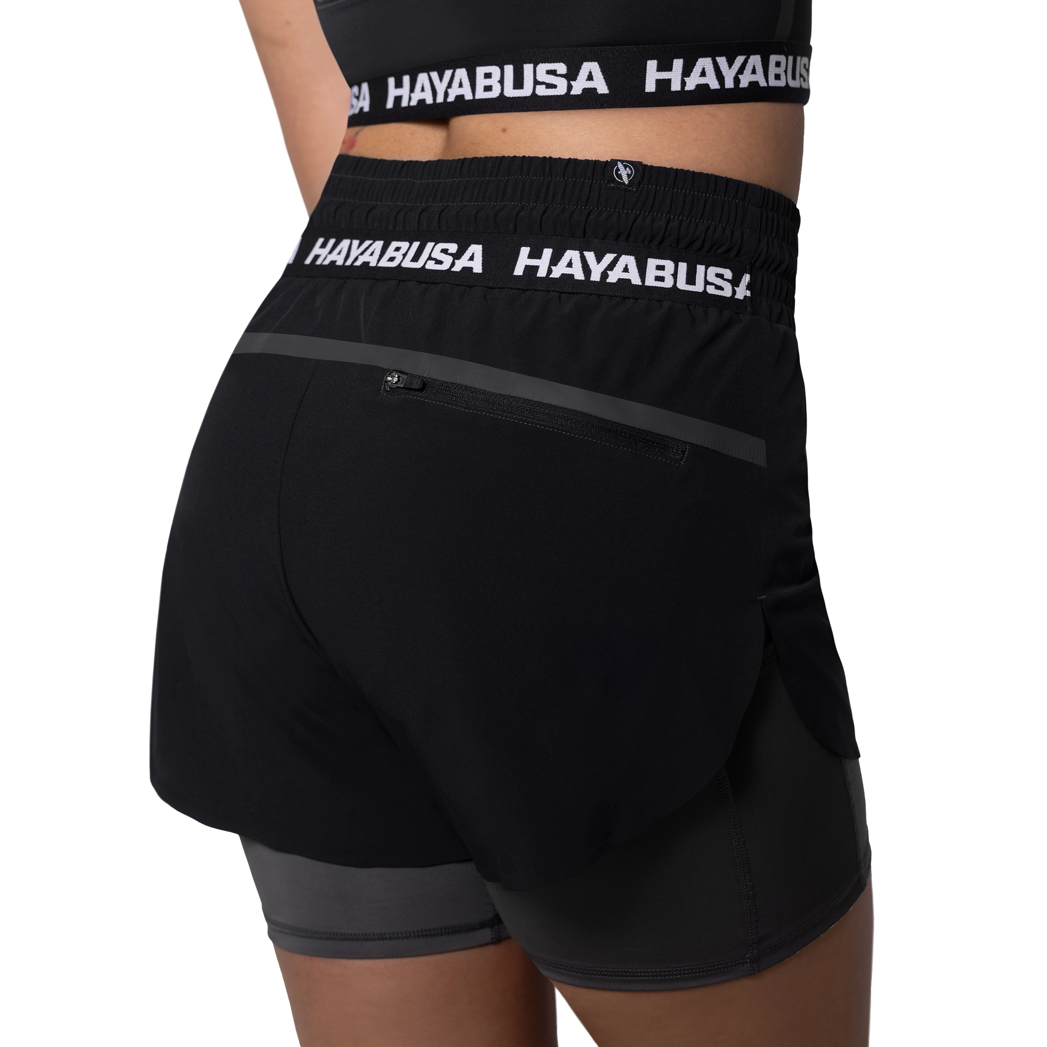 HAYABUSA