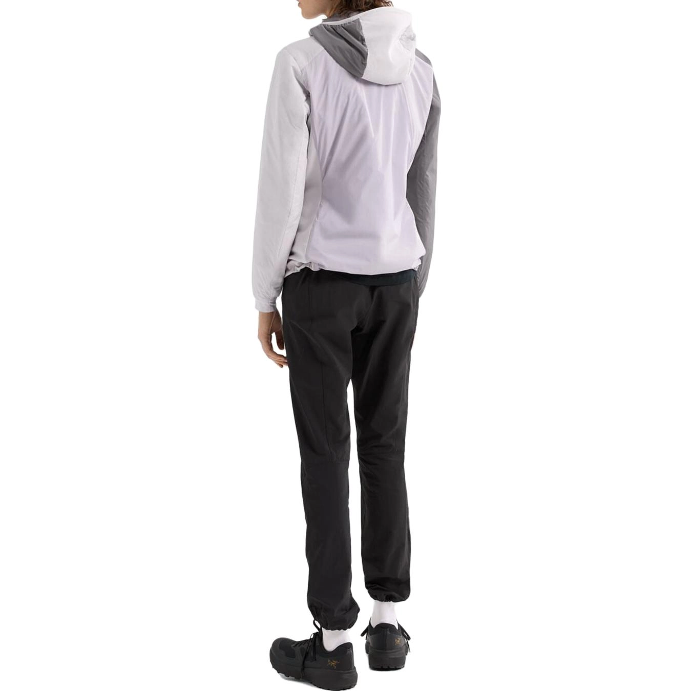 Arcteryx x beams 3.0 FW23 Atom Hoody