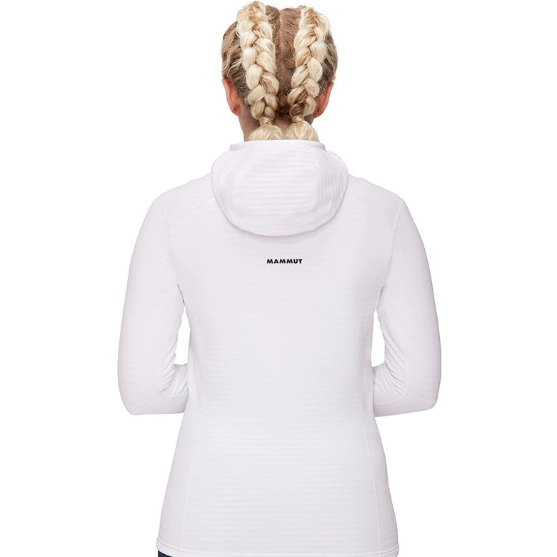 MAMMUT