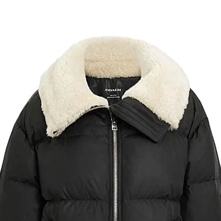 COACH FW23