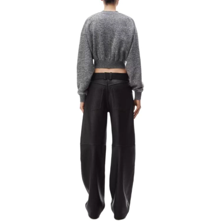 alexander wang FW24 logo