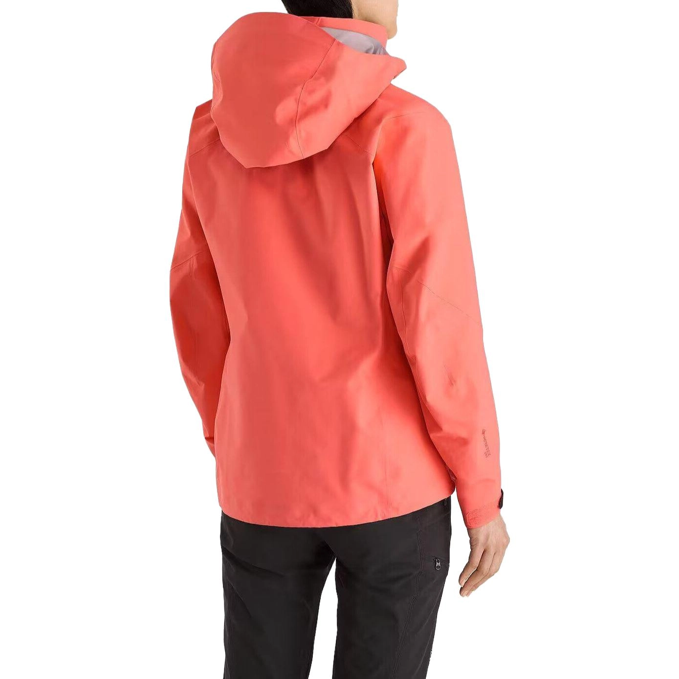 Arcteryx Beta Beta Ar Gore-Tex Logo