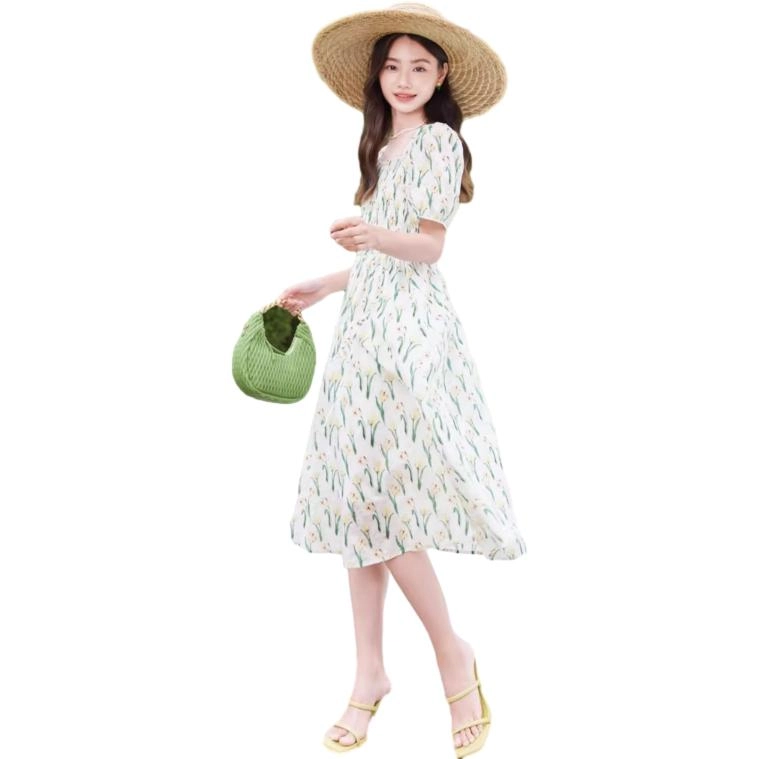 XIANGYING V