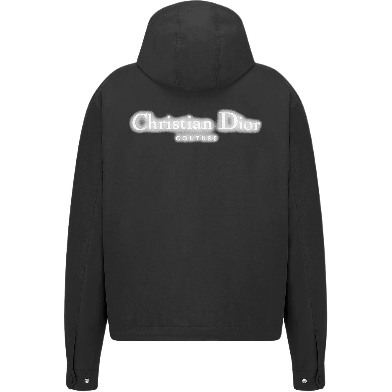 DIOR FW24 Logo