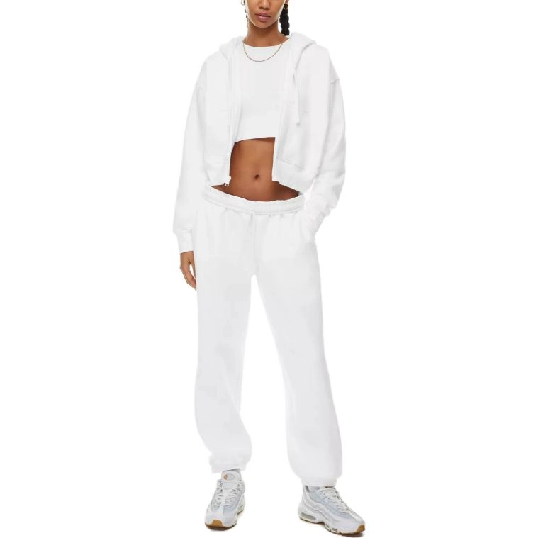 ARITZIA Tna Cozy Fleece Boyfriend Boxy Zip Hoodie