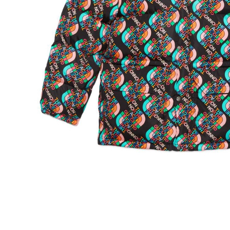 GUCCI x THE NORTH FACE FW22 Logo