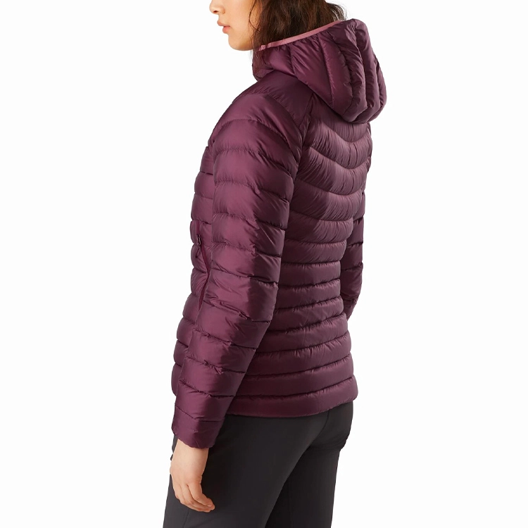 Arcteryx CERIUM Cerium Lt hoody