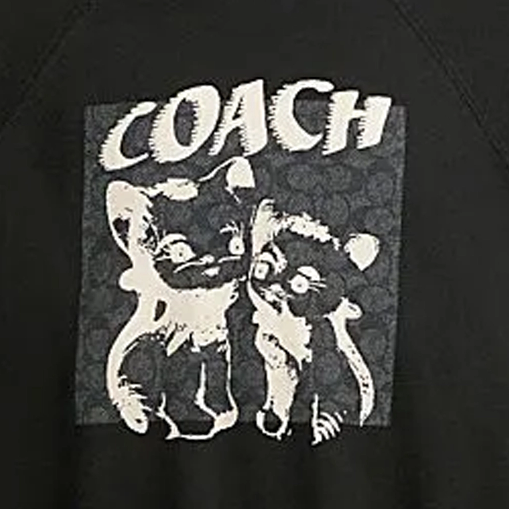 COACH SS24