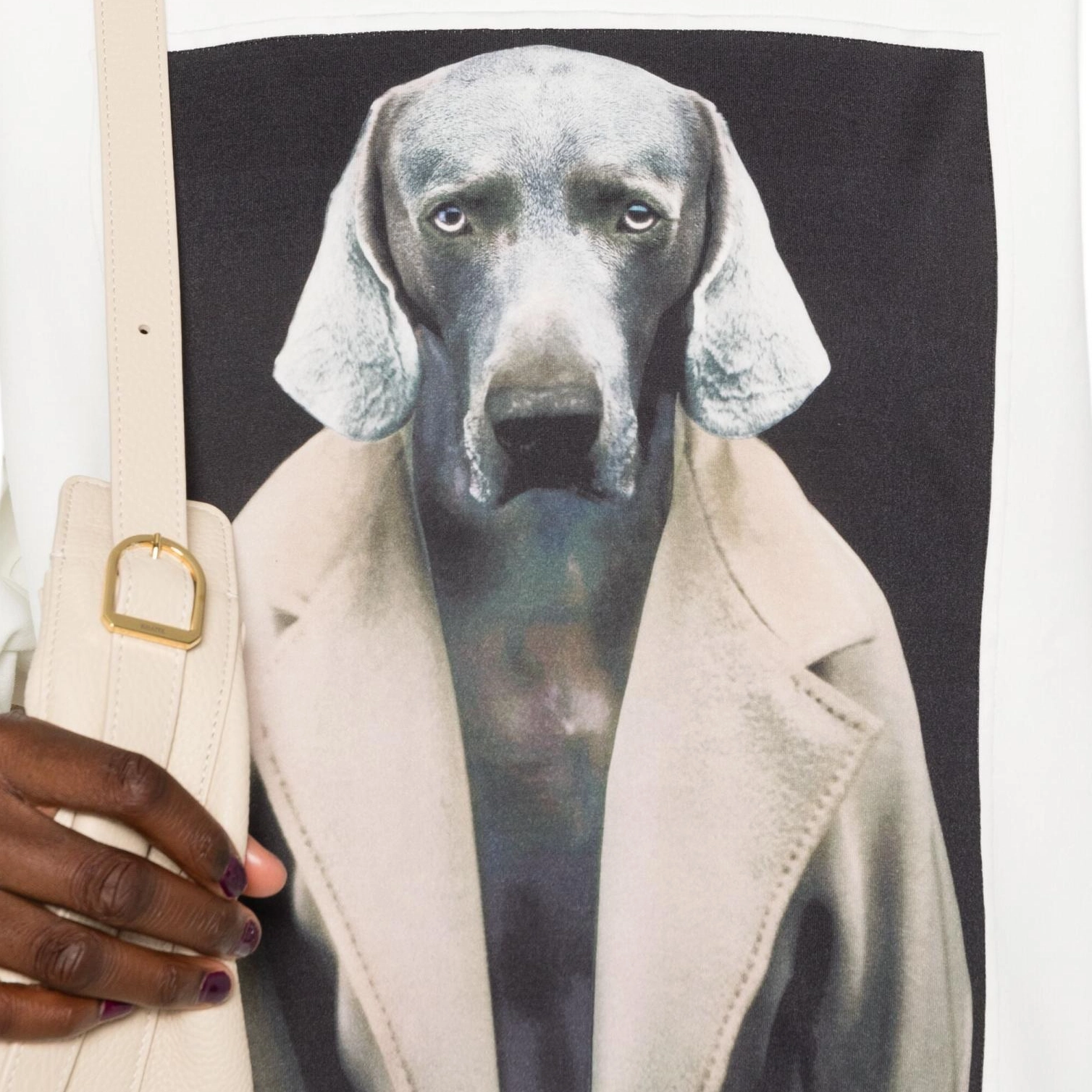 MaxMara x William Wegman Bacco Logo
