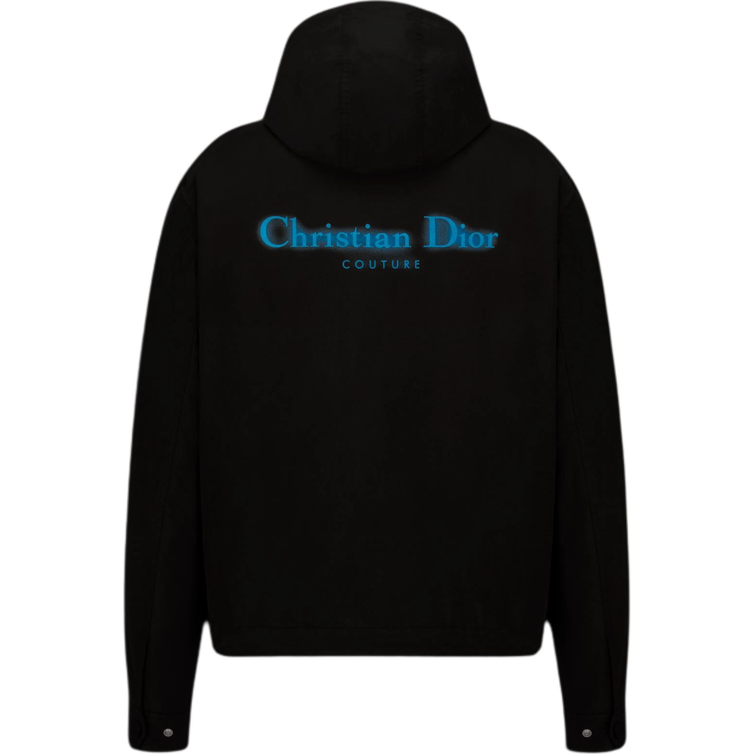 DIOR FW24 Logo
