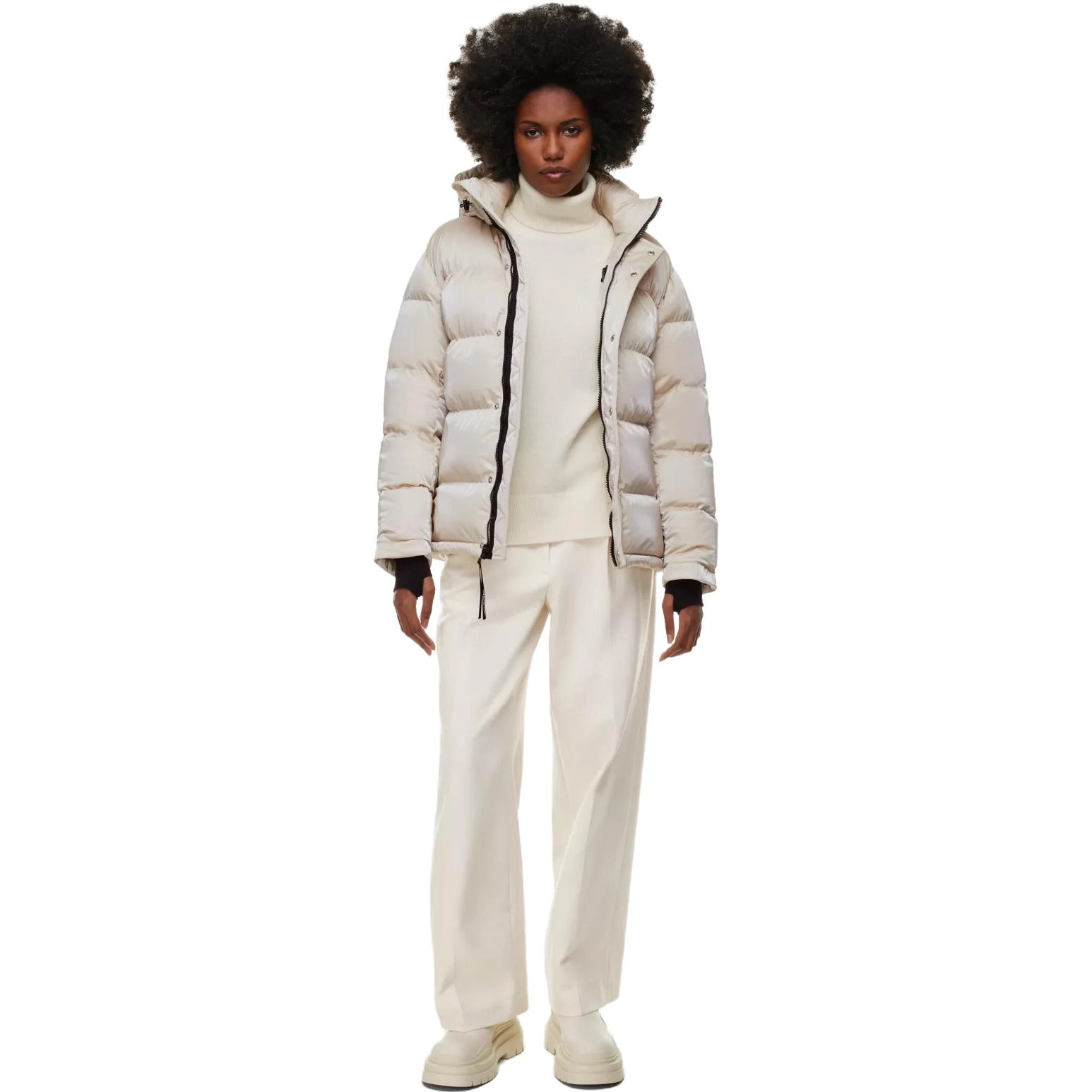 ARITZIA Super Puff Liquid Shine 5