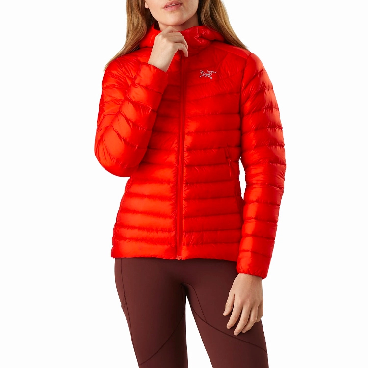 Arcteryx CERIUM Cerium Lt hoody