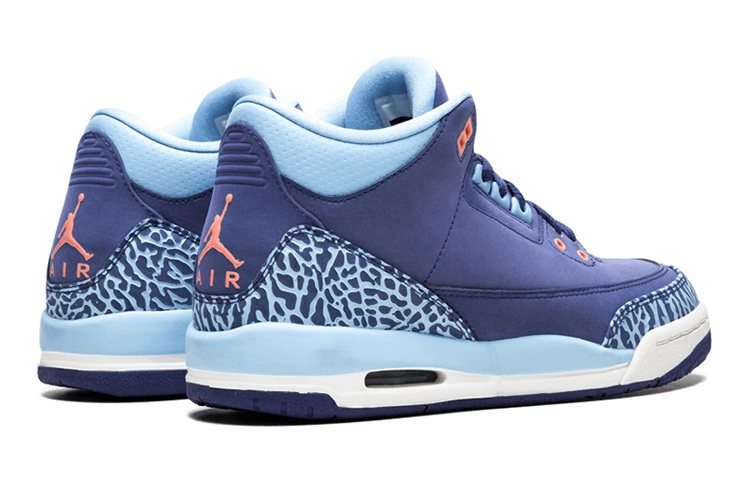 Jordan Air Jordan 3 GS