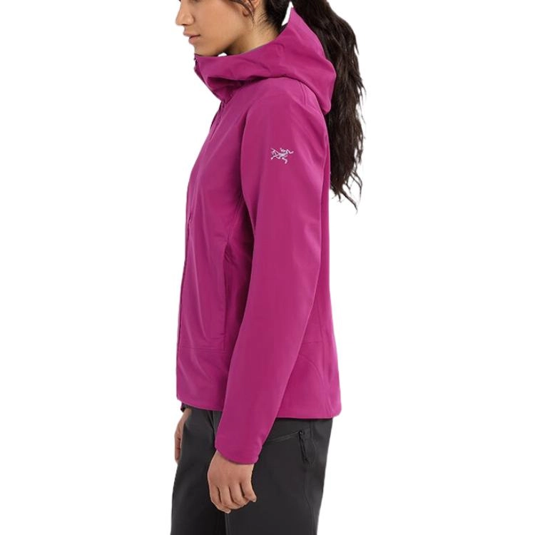 Arcteryx Gamma Mx Logo