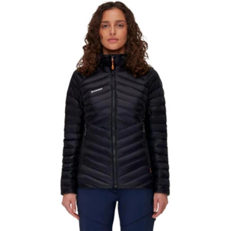 MAMMUT Broad