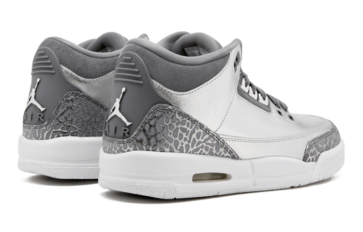 Jordan Air Jordan 3 Retro Premium Heiress Metallic Silver GS